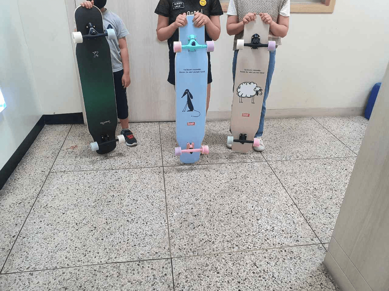 롱보드 수업 보드들